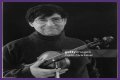 David Shapiro (musician)